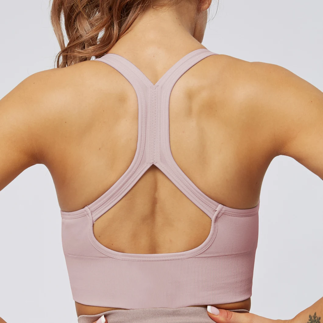 Sexy Gym Bra Absorb Sweat Tops Yoga Running Sports Bra Fitness Women Seamless Padded Vest Tanks