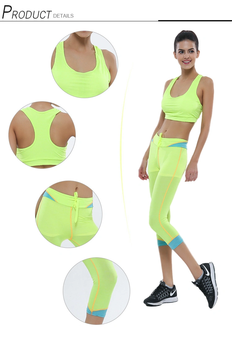 Cody Lundin Wholesale Comfortable Women Fitness Sports Clothes Quick Dry Gym Wear Sports Suit
