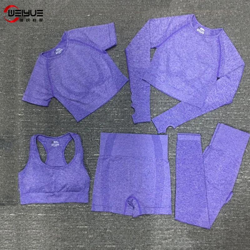 Women Yoga Shirts Seamless   Hole Fitted Gym Top Shirts Workout Running Clothes