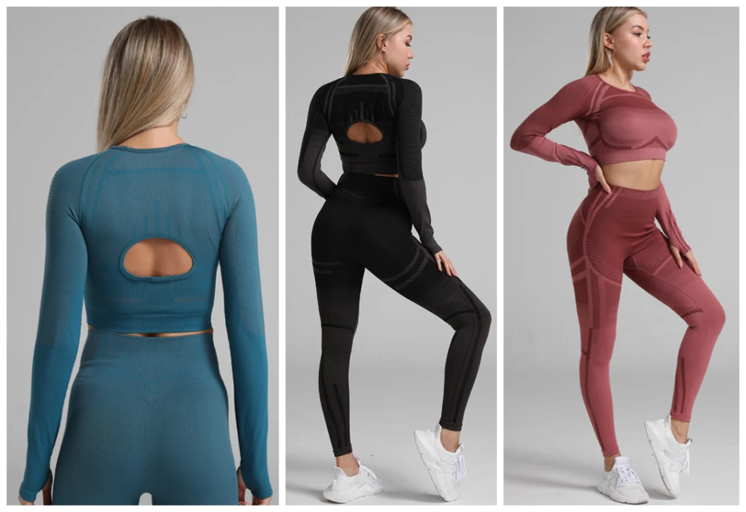 Ready to Ship in Stock Fast Dispatch Seamless Sports Cropped Top and Leggings Gym Yoga Sport Suit for Women Workout Fitness Clothing Sets
