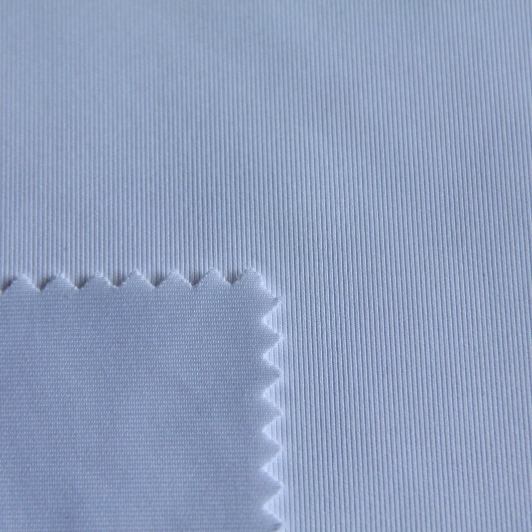 300GSM Polyester/Spandex Interlock Fabric with Weft Knitted Plain Dyed for Sportswear/Leggings/Yoga Wear/T-Shirt/Fitness