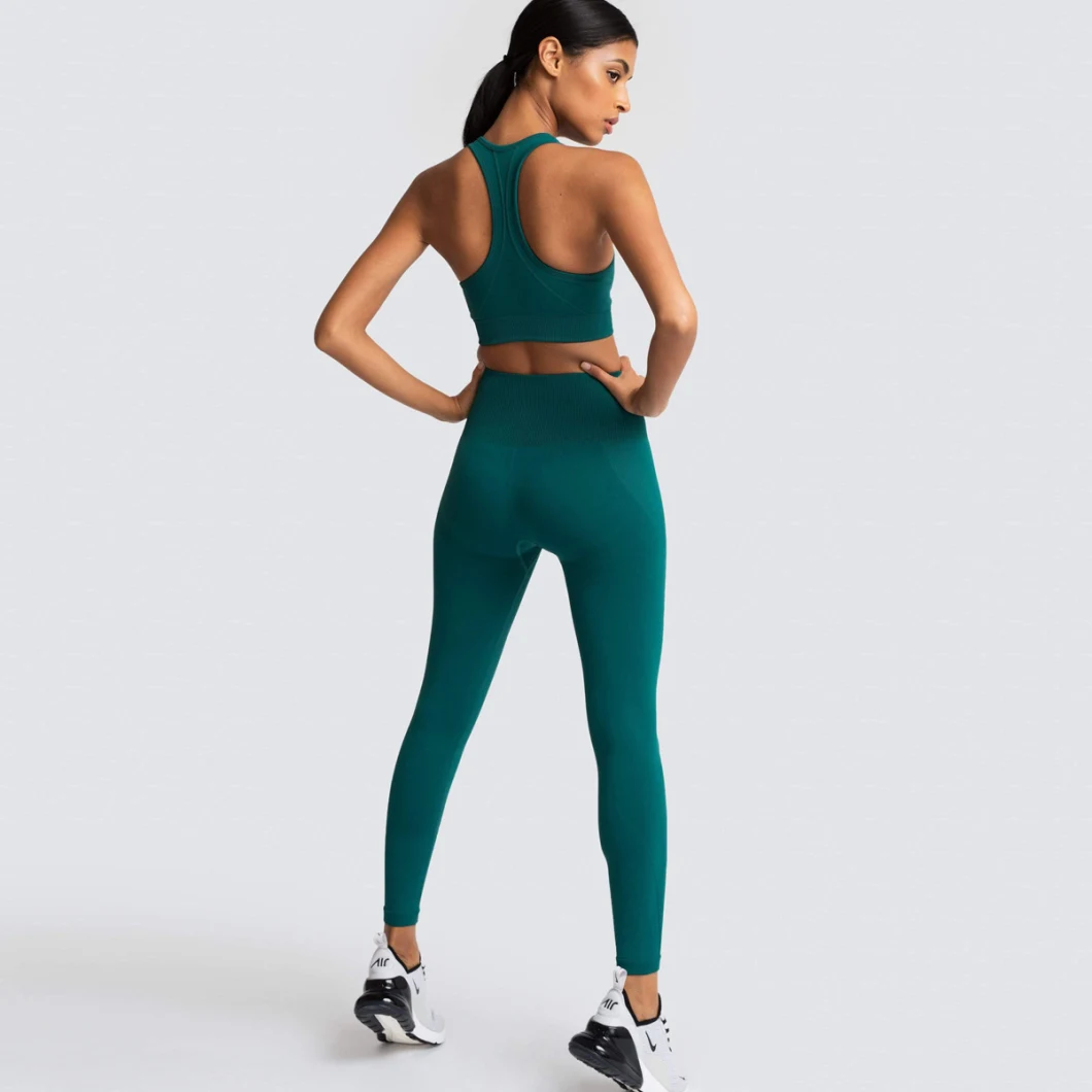 Seamless Workout Wear Women Gym Wear Yoga Clothing High Waist Sports Wear Suit