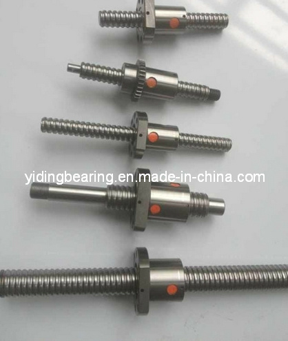 China Bearing Linear Guide Rail Ball Screw Sfu3210-4