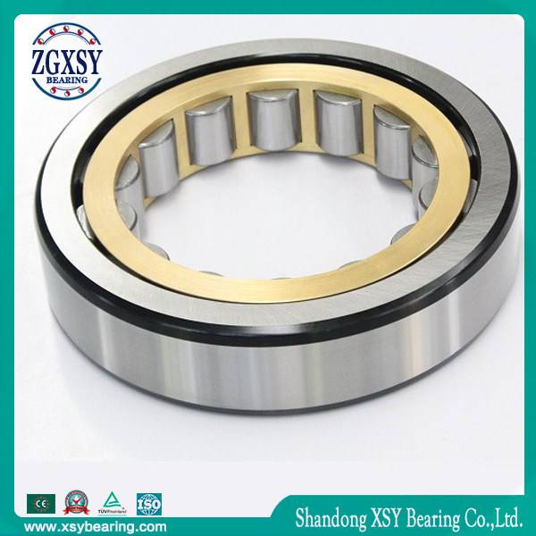 China Factory Bearings Cylindrical Roller Bearing Nj216e