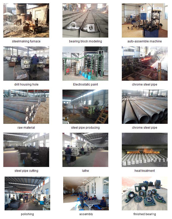 OEM Manufacturer of Pillow Block Bearing/Insert Bearing/Bearing Units/Housing/Machinery Bearing/Bearing (Chrome steel, HT200)