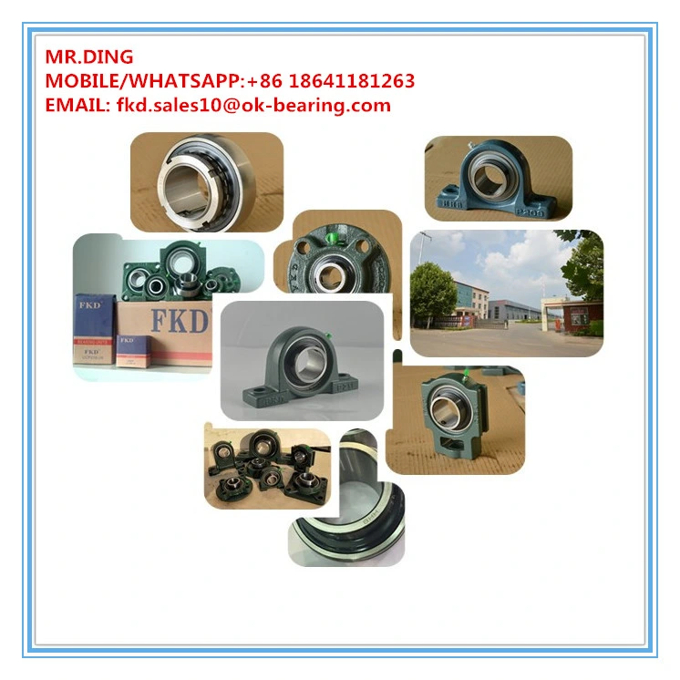 Pillow Block Bearing/Insert Bearing/Bearing Units/Housing/Agricultural Machinery Bearing/Bearing Units (UCP201 UCF202 UCFL203 UCT204 UCFC205)