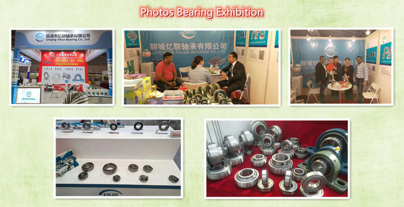 High Load Automatic Bearings Self-Aligning Roller Bearings Ball Bearings 22224e 22208MW33