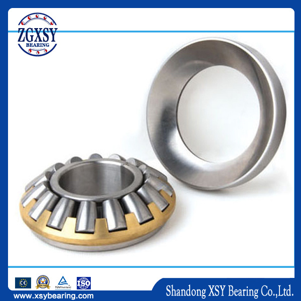 Tapered Roller Bearings Spherical Roller Bearing Cylindrical Roller Bearing Thrust Roller Bearing