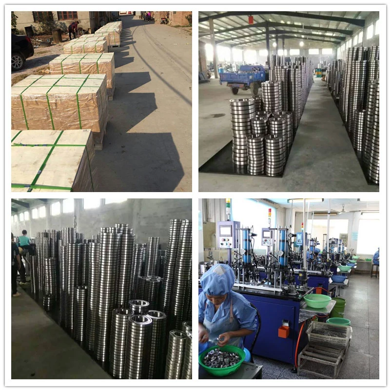 China Bearing Manufacturer Supply OEM Service Custom Special Bearing