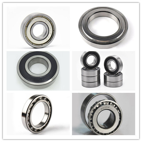 6204 6205 Bearing Motor Bearing Deep Groove Ball Bearing