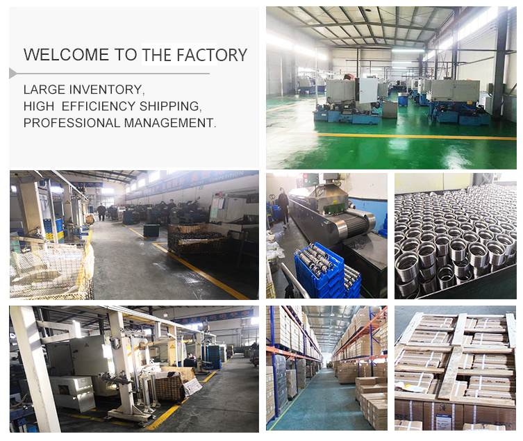 Factory Price Tapered Roller Bearing/Roller Bearing/China Bearing 31307