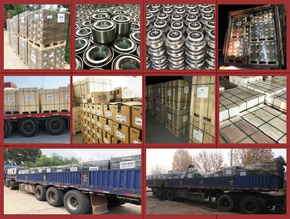 Saf Truck Bearing 100167600 100167601 1002689 1003457 Schmitz Cargobull Wheel Bearing