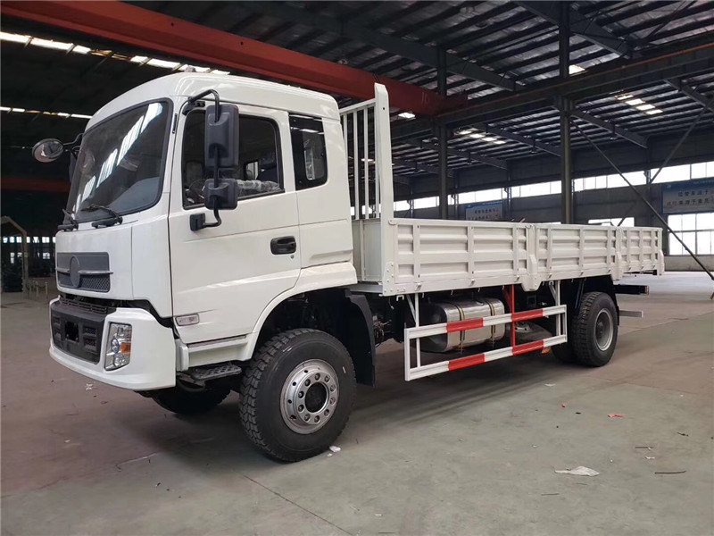 China Special Truck All Wheel Drive Cargo Truck (4X4)