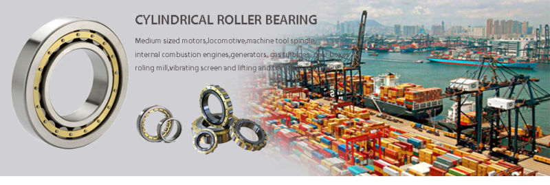 Cylindrical Roller Bearing Nu311em for Generators Internal Combustion Engine Bearing