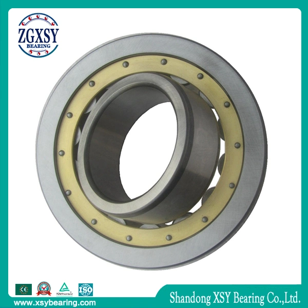 Koyo Bearing 70081 C3 Cylindrical Roller Bearing