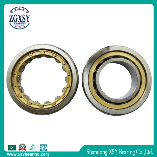 Koyo Bearing 70081 C3 Cylindrical Roller Bearing