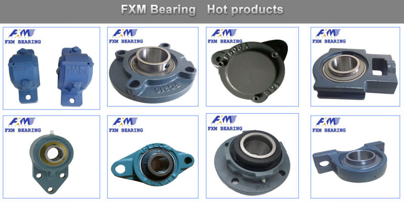 Hosting Pillow Block with Stainless Steel Bearing Plastic Bearings