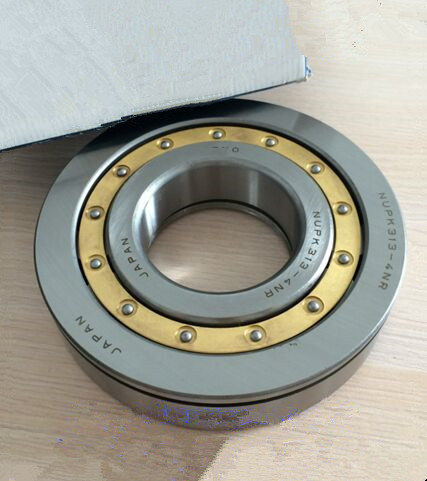 Nup313-4n Cylindrical Roller Bearings Nupk313-4nrs02c3 Roller Bearing with Snap Ring
