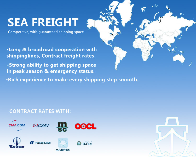 Air Freight/Container Shipping Logistics From China to France
