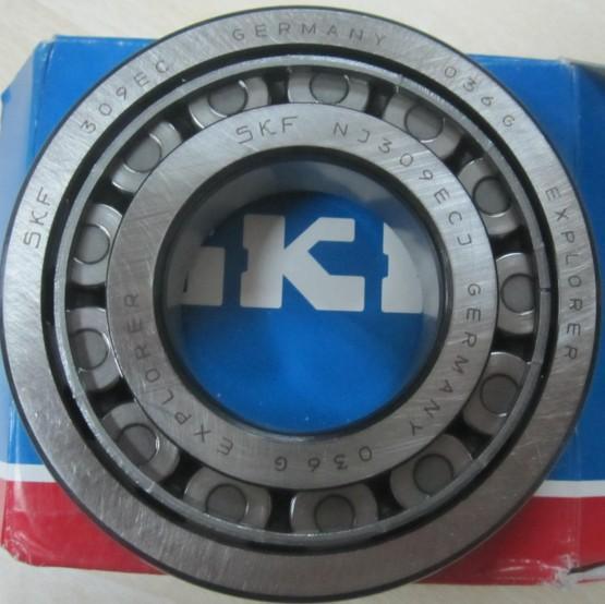 SKF Cylindrical Roller Bearing Special Bearing for Vibrating Screen Nj2320ecml-C4