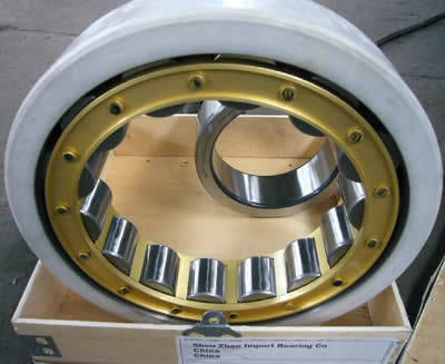 Cylindrical Roller Bearing N406 Thrust Roller Bearings Nu406