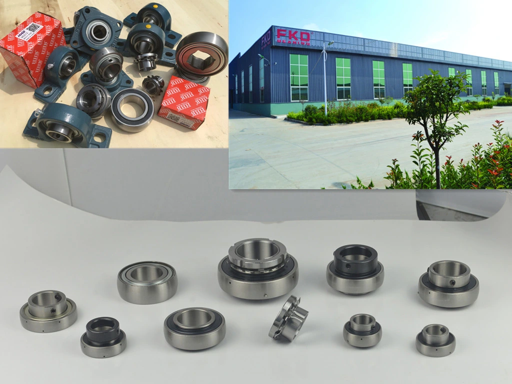 Pillow Block Bearing, Bearing, Bearing Unit, Bearing Housing (UCP205, UCF206, UCT208, UCFC210, UCFL212 Series)