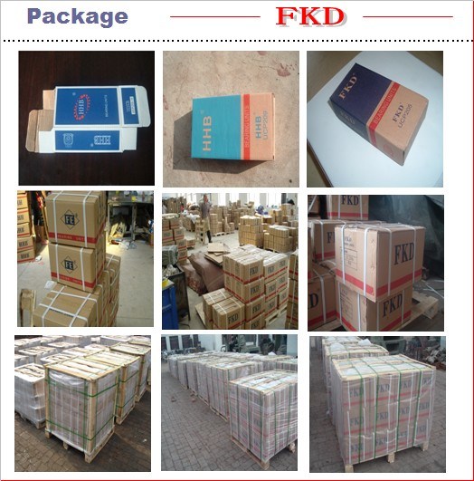 Fkd High Temperature Bearing/Pillow Block Bearing/ Bearing Units/ Bearings (UCHA 207)