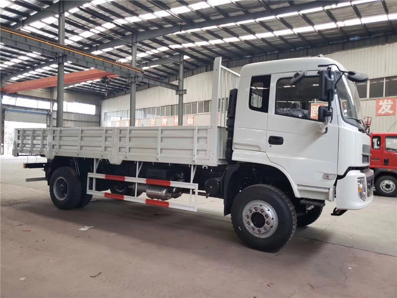 China Special Truck All Wheel Drive Cargo Truck (4X4)