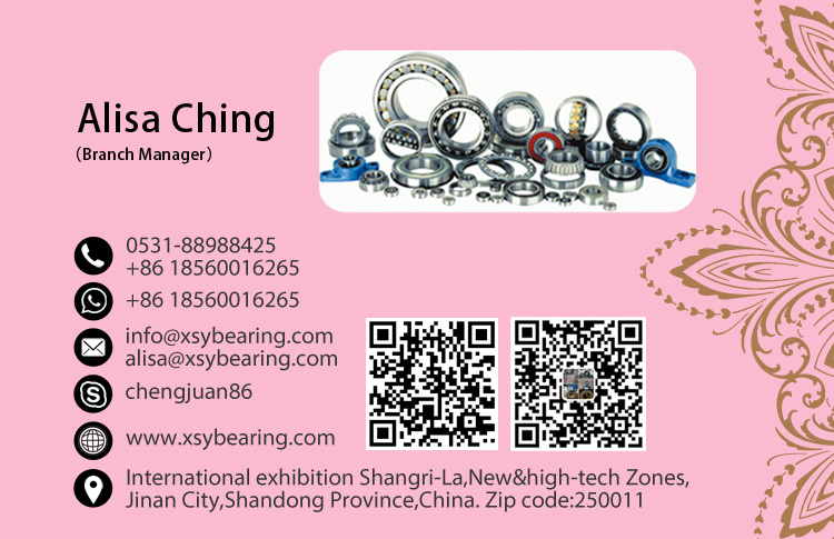 Bearing-Rolling Bearing-SKF Bearing-OEM Bearing-Cylindrical Roller Bearing
