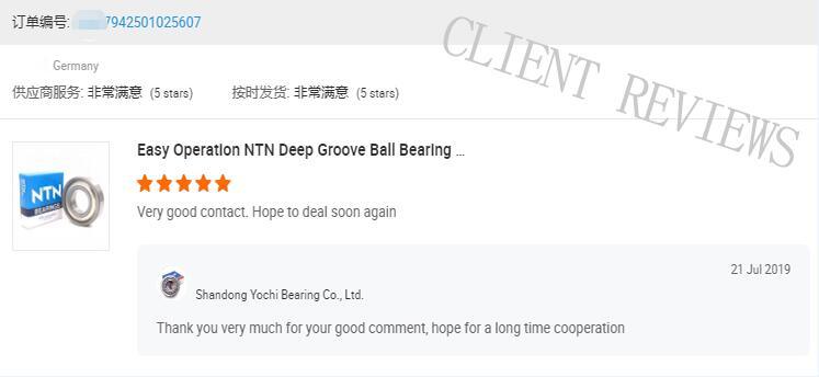 Deep Groove Ball Bearing 6038 NTN SKF Koyo Timken NACHI Hch High Precision Cheap Price Ball Bearings