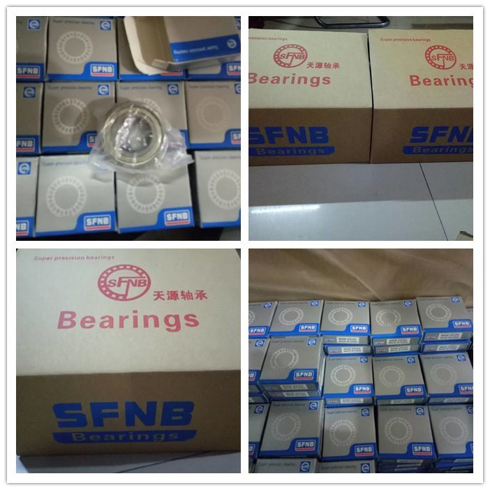 NTN Transmission Needle Bearing Rna 6903 Needle Roller Bearing