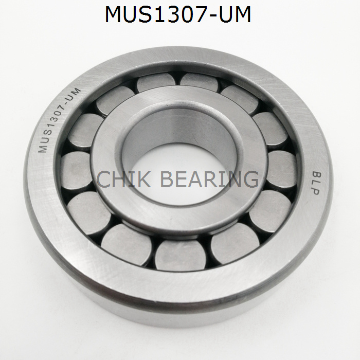 Bearing Cylindrical Bore Mus1307-Um Full Complement Bearing for Cars Made in China