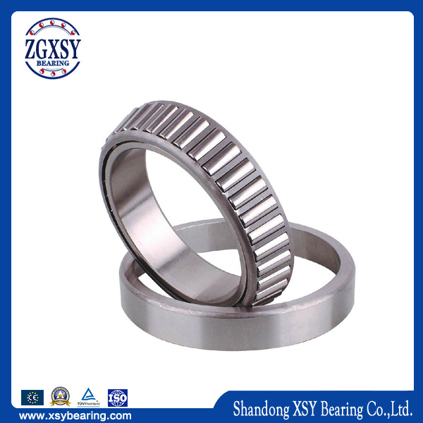 Tapered Roller Bearings Spherical Roller Bearing Cylindrical Roller Bearing Thrust Roller Bearing