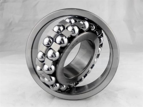 Self-Aligning Ball/Roller Bearing1203/1204/1205 Chrome Steel