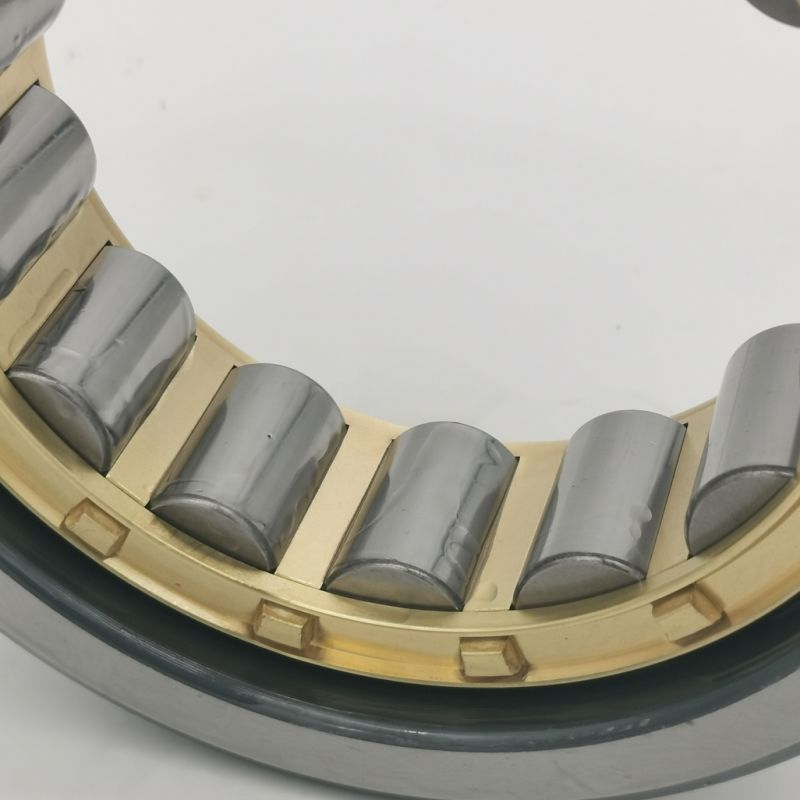 Nu 304 Ecp Cylindrical Roller Bearing Pharmaceutical Machinery Bearing Bearing Electrical Machinery Bearing Bearing Power Machinery Bearing Bearing