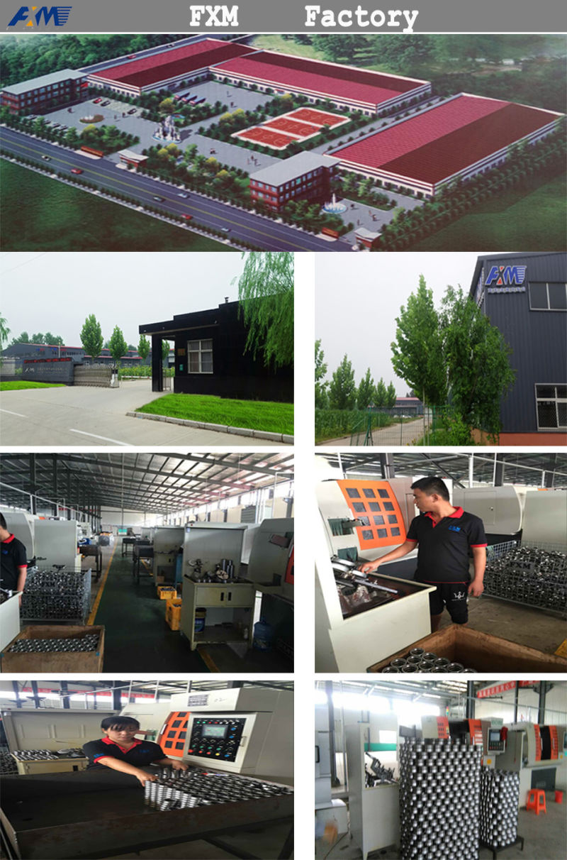 China Factory Auto Ball Bearing