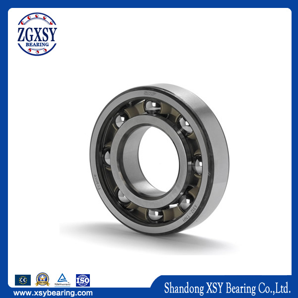 Carbon/Stainless/Bearing Steel Cylindrical Roller Bearing