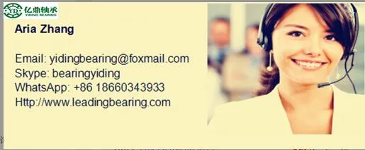 China Supplier Top Quality Flange Bearing F686zz Bearing