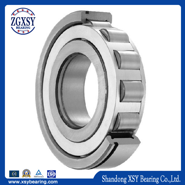 New Bearing Cylindrical Roller Bearing (NU305ET Cylindrical Roller Bearing)