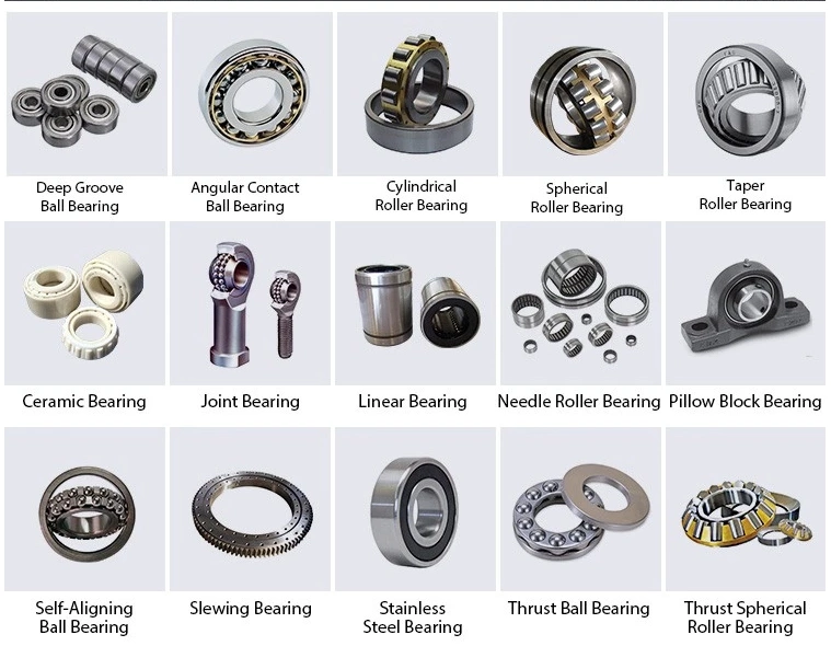 Tapered Roller Bearing Cylindrical Roller Bearing Needle Roller Bearing Spherical Roller Bearing