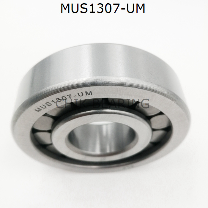 Bearing Cylindrical Bore Mus1307-Um Full Complement Bearing for Cars Made in China