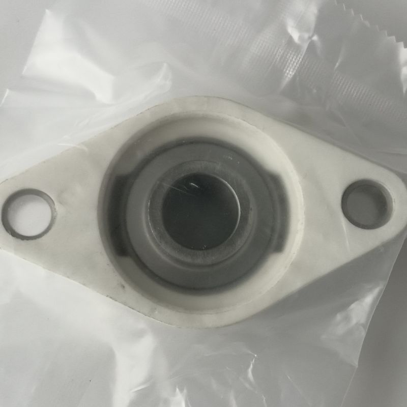 NSK Plastic Pillow Block Bearing Sucfl204 Sucfl205 Sucfl206 Sucfl209 Sucfl210 with Plastic Housing and Stainless Bearing