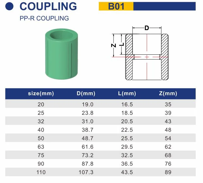 High Quality Coupler /Coupling for PPR/PVC/CPVC/Plastic Pipe Fittings