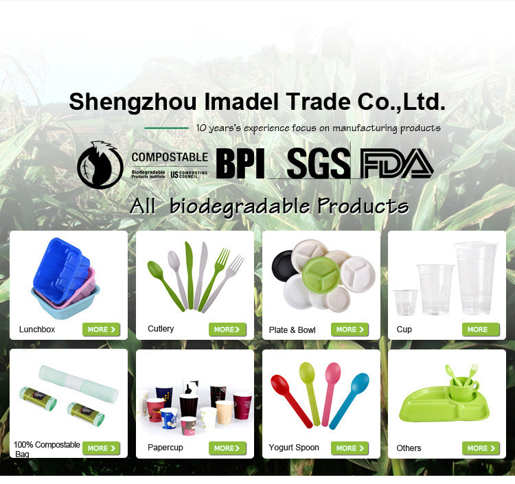 Plastic Sorbet Biodegradable Drinking PLA Spoon Straws for Bar