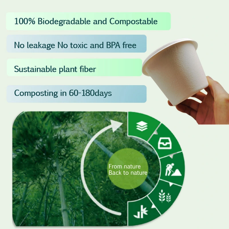 Wholesale Biodegradable Coffee Cups Holders Tray for Different Capacity Cups
