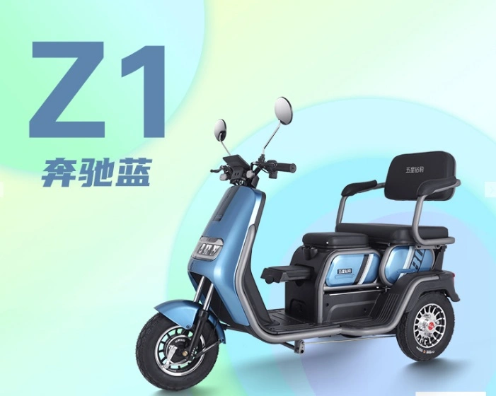 Three Seats Baby Seat Electric Tricycle 48V/60V Lead-Acid Battery