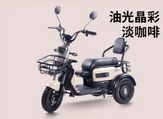 Low Speed Electric Tricycle with Baby Seat in Front