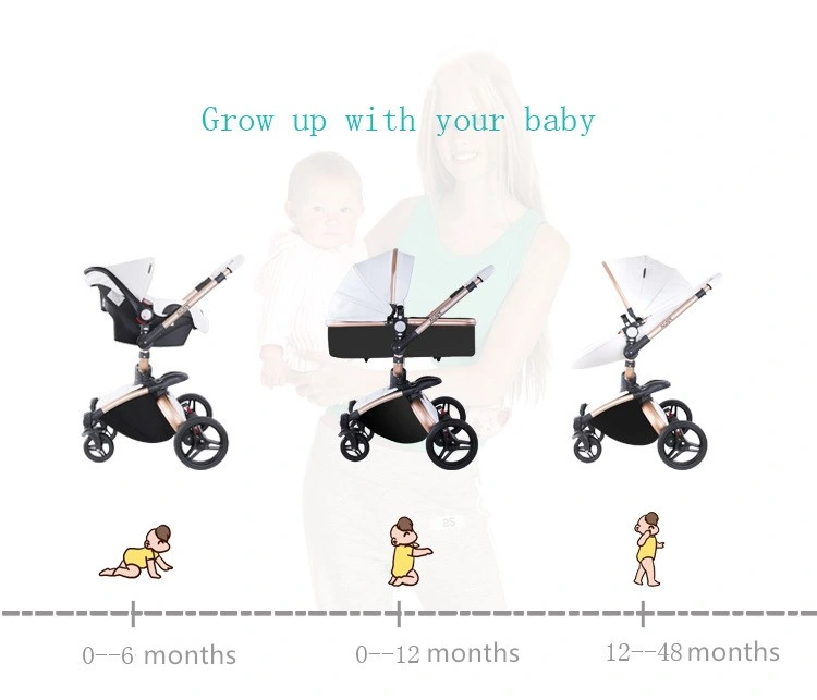 3 in 1 Pram Stroller Carriage Foldable Baby Stroller Anti-Shock Springs High View Pram Baby Stroller with Baby Basket