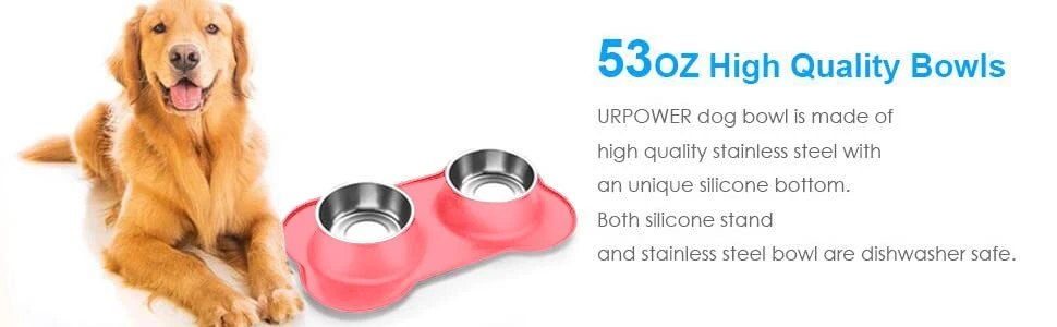 Stainless Steel Double Dog Food and Water Bowl with No-Spill No-Skid Silicone Mat