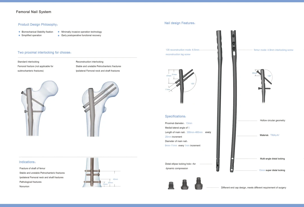 Expert Proximal Femoral Nail Instrument Set Intramedullary Nail Instrument Set